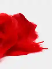 Красный декоративные перья, натуральные, цветные