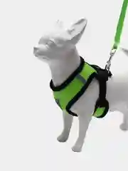 Лайм шлейка для кошек, поводок для собак, шлейка