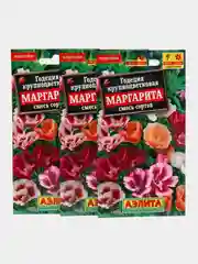 Семена Годеция крупноцветковая "Маргарита", смесь сортов, набор 1, 3, 5 уп