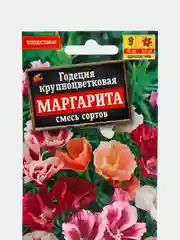 Семена Годеция крупноцветковая "Маргарита", смесь сортов, набор 1, 3, 5 уп