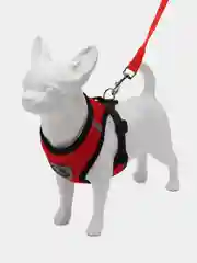Алый шлейка для кошек, поводок для собак, шлейка