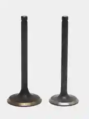 Клапана TTR125, YX125, увеличенные, D23/27-28 x h64-65/66 мм