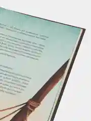 Подлинная история Питера Пэна, Михела Ронда