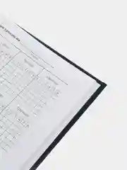 Журнал директора школы