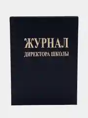 Журнал директора школы