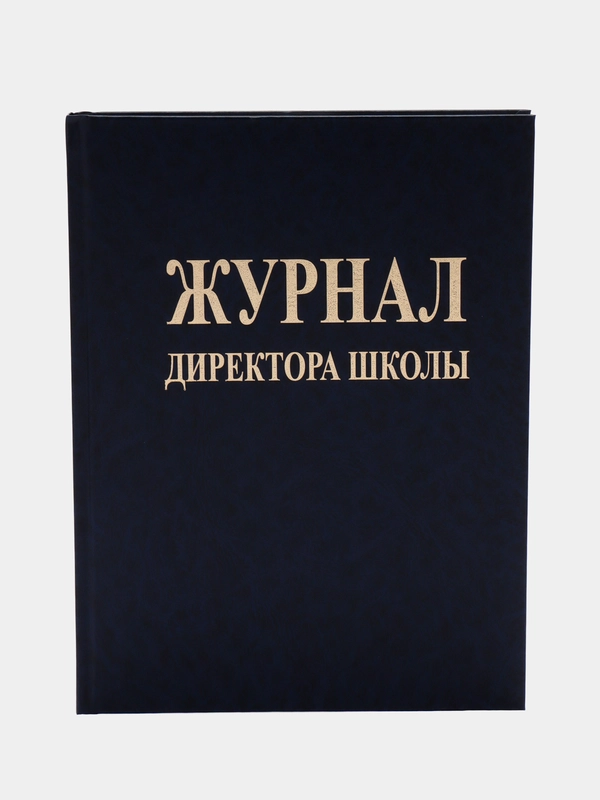 Журнал директора школы