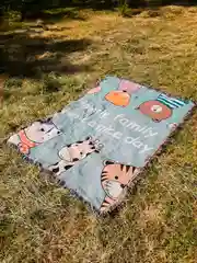 Покрывало для отдыха на природе, плед для пляжа и пикника
