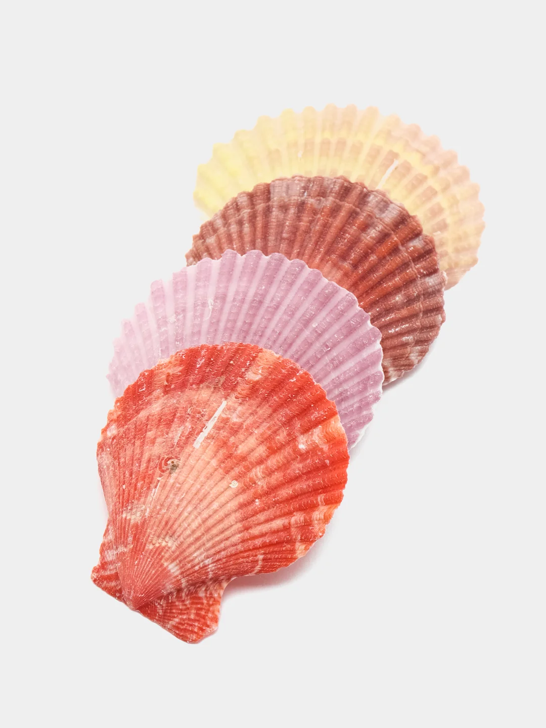 Розовый ракушки натуральные морские и океанические, грунт, наполнитель, декор для аквариума