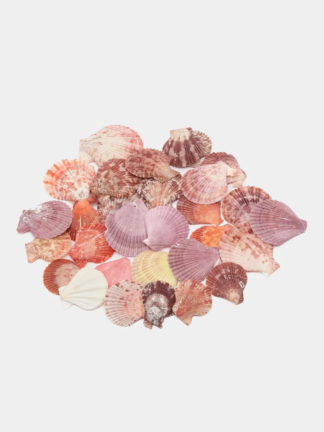 Розовый ракушки натуральные морские и океанические, грунт, наполнитель, декор для аквариума