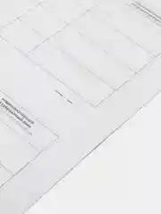 Ветеринарный паспорт международный Мопс