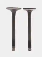Клапаны скутер 4Т 139QMB (увеличенные D20/23 x h61/62 мм)