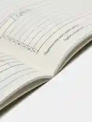 Зелёный хаки дневник школьный для 1-11 классов, мягкая обложка, 40 листов. Аниме, Гравити Фолз