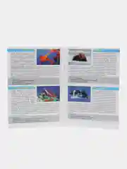 Игра МЕМО "Водный мир" (50 карточек)