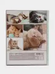 Алый школьный дневник, 1-11 класс