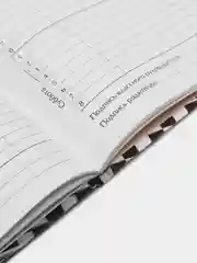 Белый школьный дневник, 1-11 класс