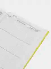 Светло-коричневый школьный дневник, 1-11 класс