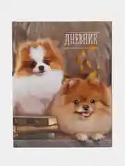Конфетный школьный дневник, 1-11 класс
