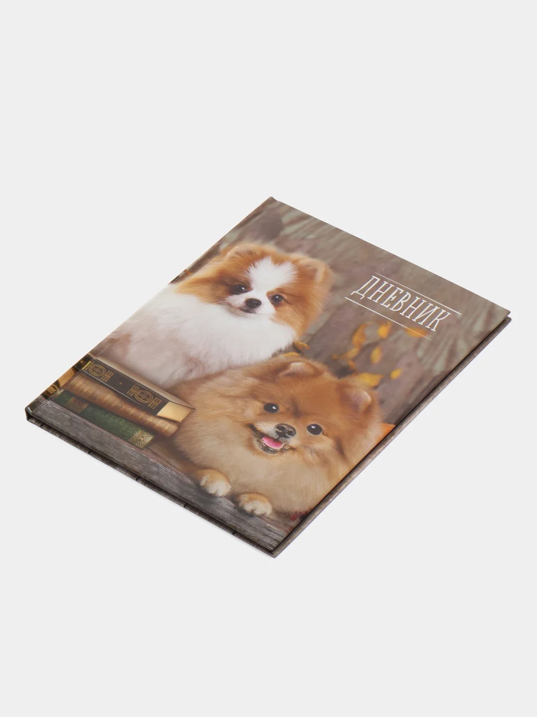Конфетный школьный дневник, 1-11 класс