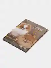 Конфетный школьный дневник, 1-11 класс