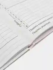 Коричневый школьный дневник, 1-11 класс