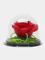 Красный букет из вспененного мыла , подарок на Новый год маме,сестре,коллеге ,подарочный набор