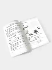 Учимся сами. Английский язык. Лексика: 2-4 классы