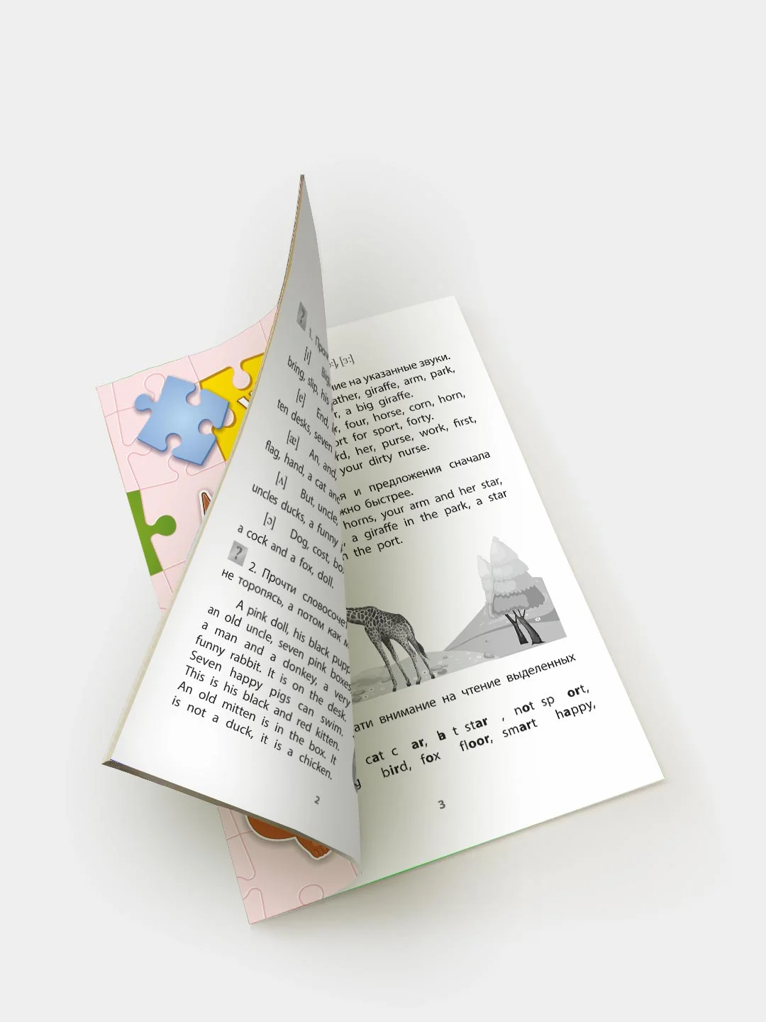 Учимся сами. Английский язык. Чтение: 2-4 классы