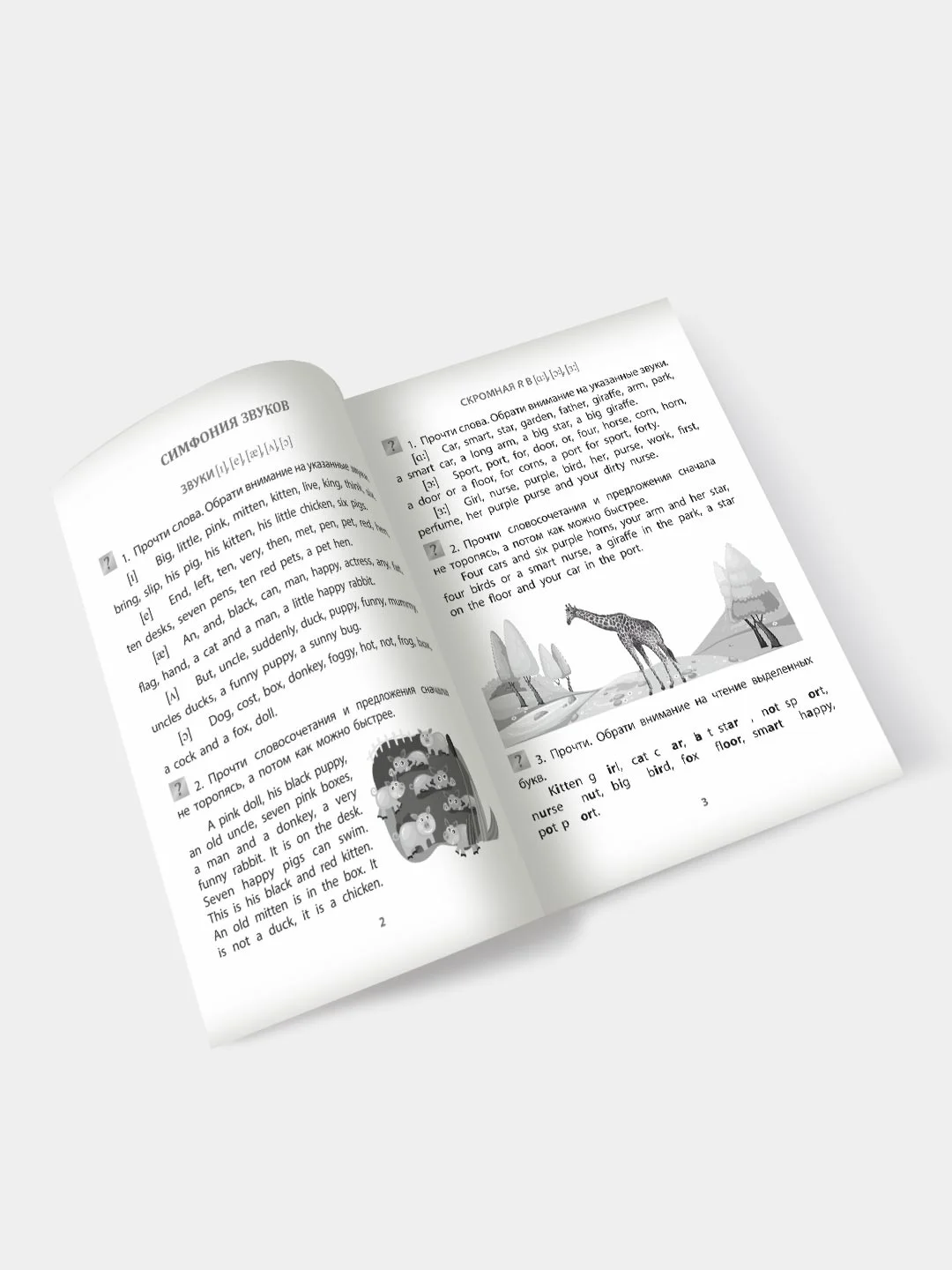 Учимся сами. Английский язык. Чтение: 2-4 классы
