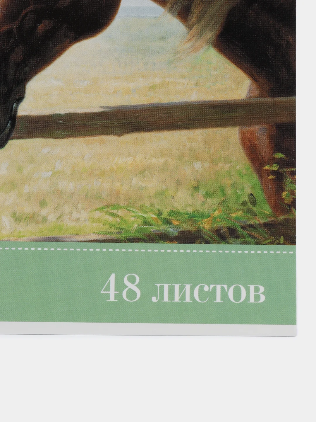 Бирюзовый альбом для рисования, 48 листов