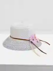 Лазурный шляпа женская