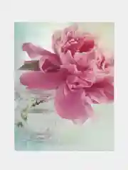 Мятный фотоальбом 100 фото, 10х15, "Цветы", твёрдая обложка