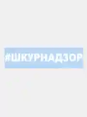 Белый наклейка на авто / машину / стекло "#ШКУРНАДЗОР" 25 х 3 см