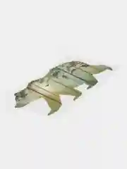 Лесной зеленый термонаклейка, термотрансфер, заплатка, патч, наклейка, термоаппликации на одежду, рюкзак