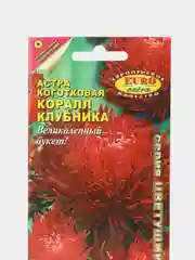Семена Астра "Коралл клубника"