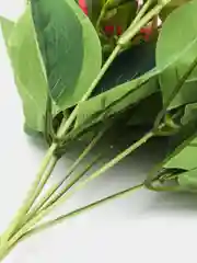 Кораллово-розовый искусственные цветы, букет