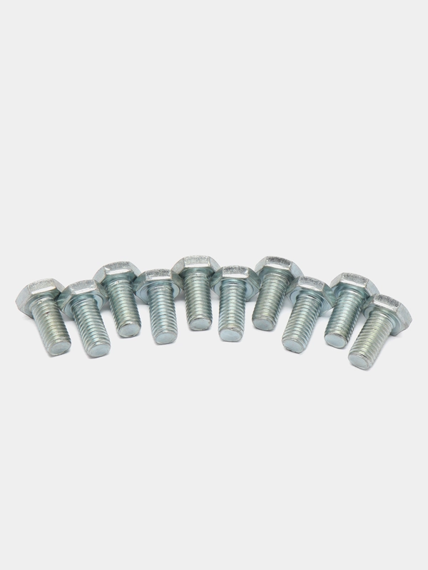 Болт М10 x 20 мм, головка шестигранная, 10 штук