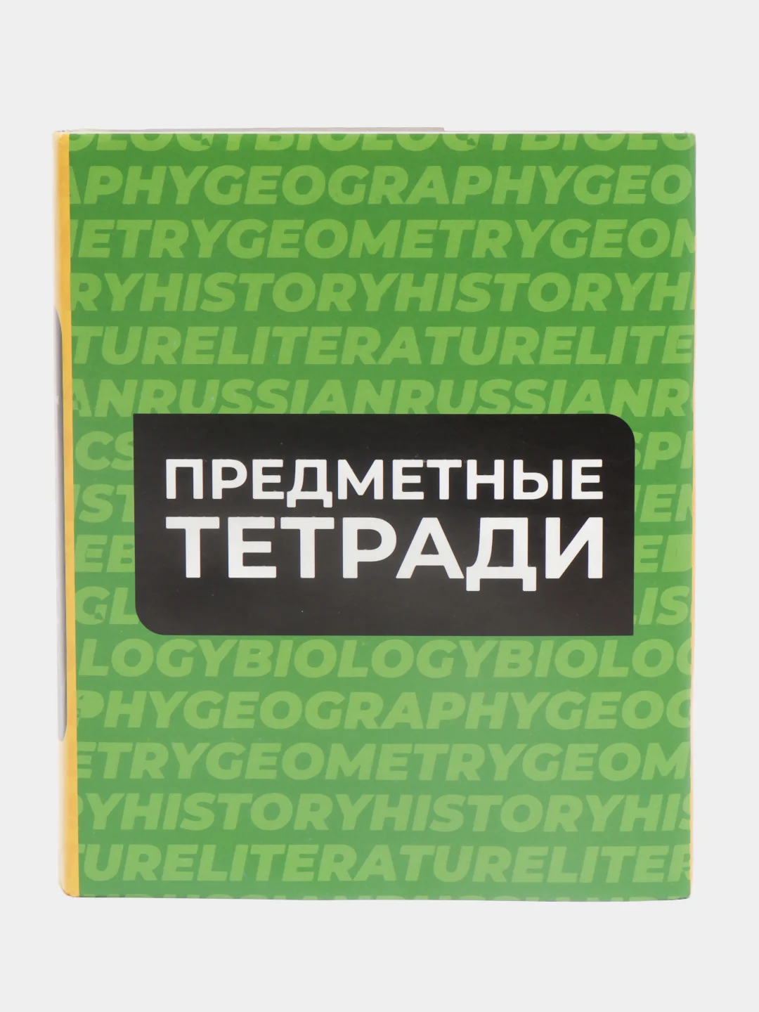 Алый комплект предметных тетрадей, со справочным материалом, 10 предметов