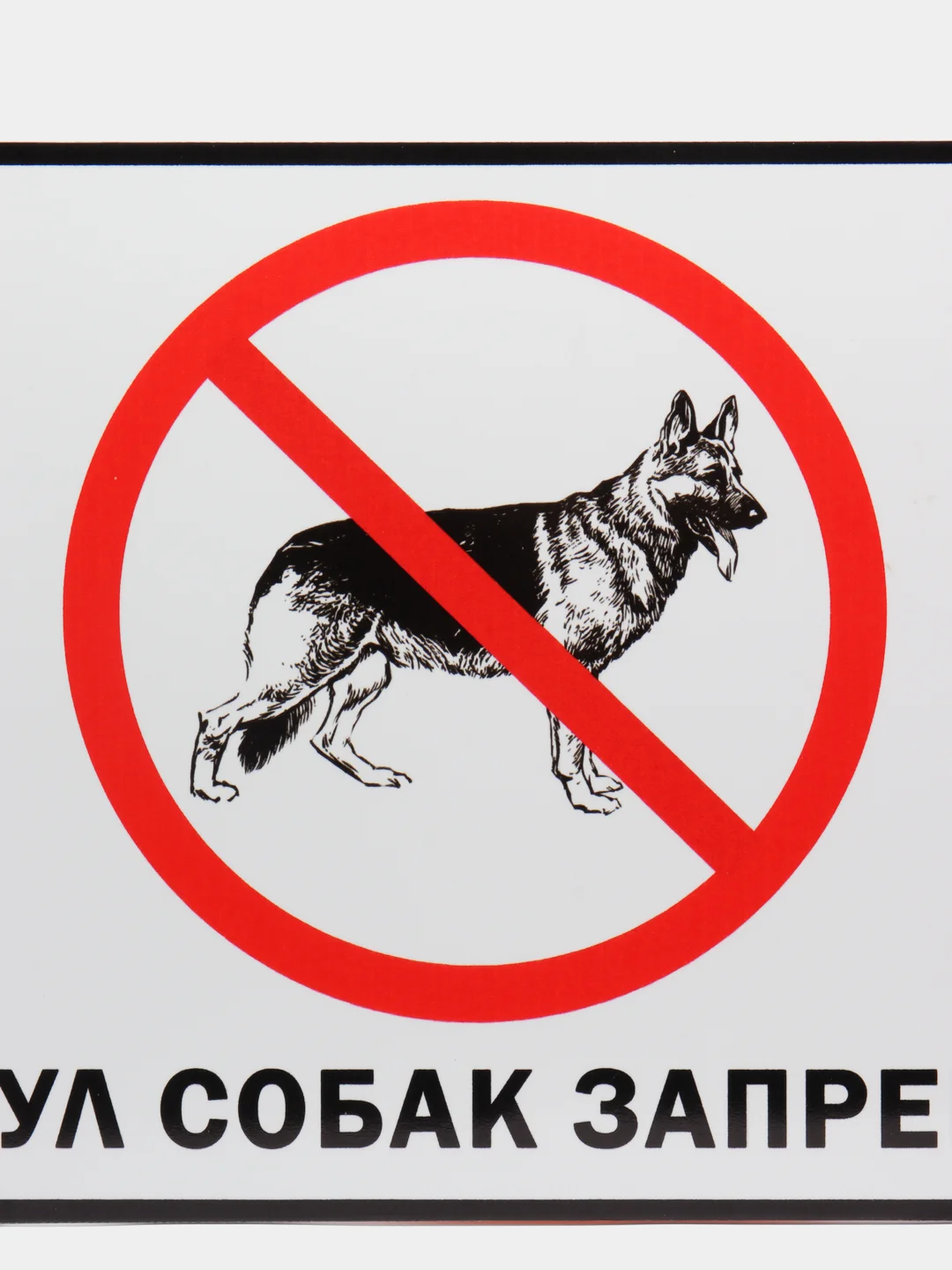Прозрачный таблички "Осторожно! Злая собака", " Ведется видеонаблюдение", "Посторонним вход запрещен"