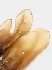 Уши говяжьи, для собак, лакомство, ГРЫЗЛИням