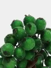 Зеленый ягодки на ветке, сахарные, 40 ягод