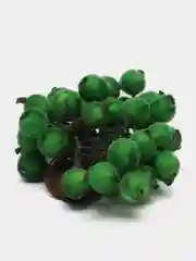 Зеленый ягодки на ветке, сахарные, 40 ягод