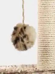 Коричневый игровой комплекс для кошек, с мисками в комплекте