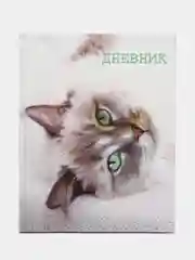 Золотой школьный дневник, 1-11 класс