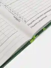 Прозрачный школьный дневник, 1-11 класс