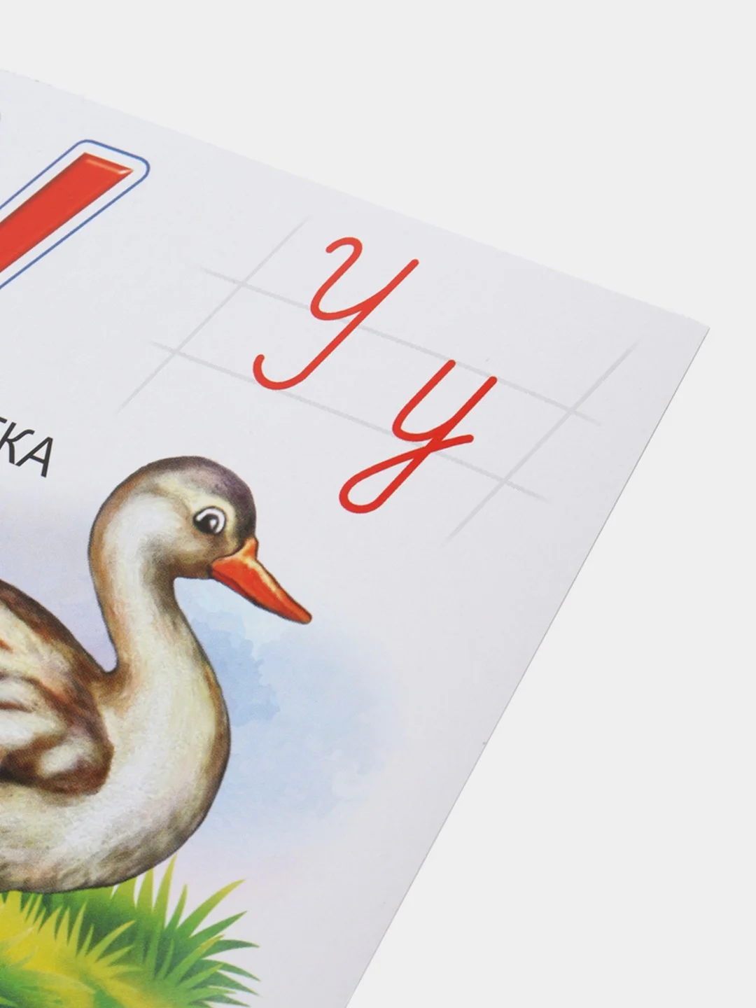 Лайм обучающие карточки "Азбука. Алфавит", с рисунками, детям от 3 лет, 33 штуки