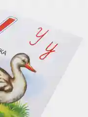 Лайм обучающие карточки "Азбука. Алфавит", с рисунками, детям от 3 лет, 33 штуки