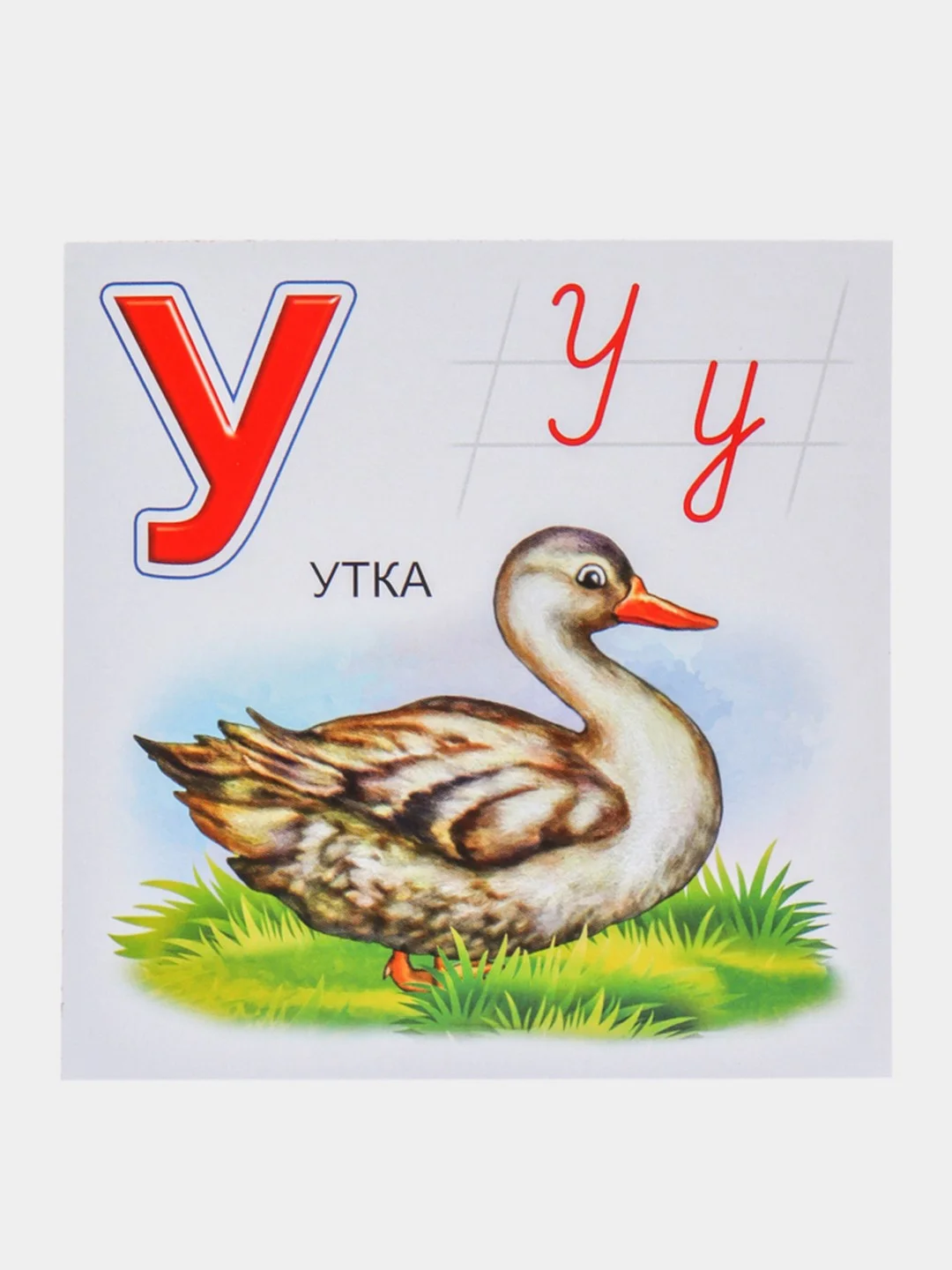 Лайм обучающие карточки "Азбука. Алфавит", с рисунками, детям от 3 лет, 33 штуки