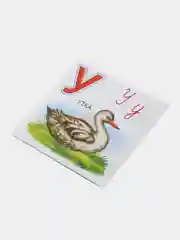 Лайм обучающие карточки "Азбука. Алфавит", с рисунками, детям от 3 лет, 33 штуки