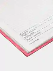 Тёмно-розовый дневник школьный, универсальный, для 1-11 классов, аниме