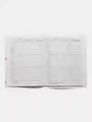 Розовый дневник школьный, универсальный, для 1-11 классов, аниме